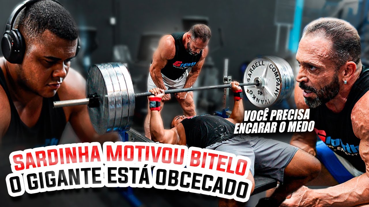 BITELO BUGOU SARDINHA COM SUA FORÇA - RUMO ARNOLD BRASIL