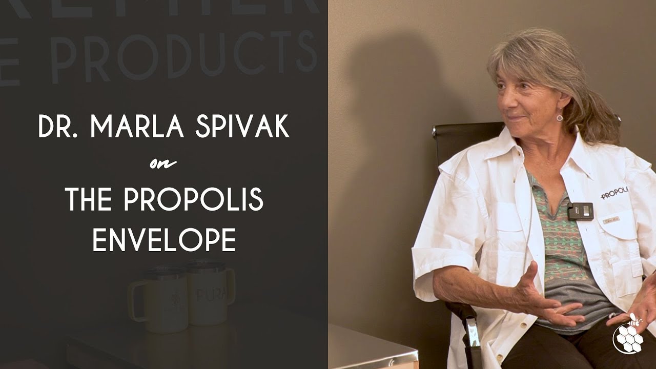 3 Things Dr. Spivak Wants Everyone to Know About Propolis | Premier Bee Products