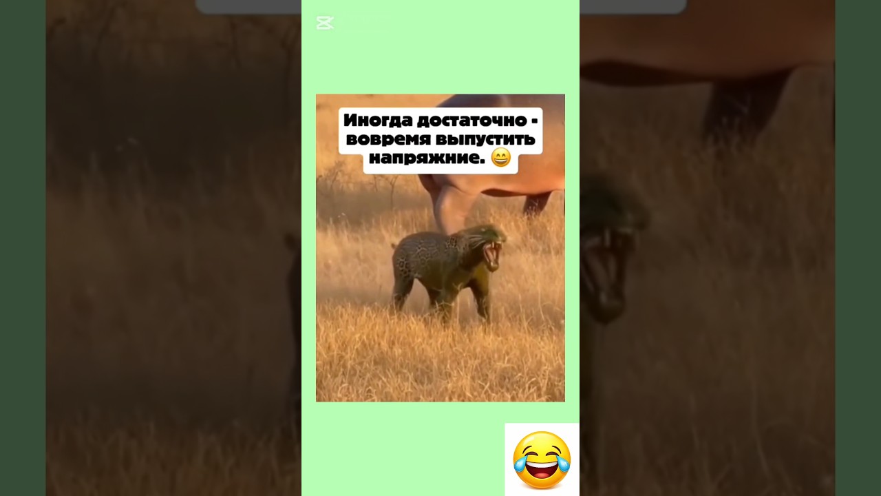 #смешно #юмор #шуточное #жизненно