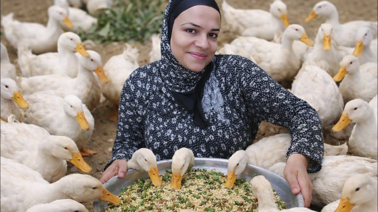 كنت عشمانة فى ربنا🤲واكرمنى من واسع فضله🤲 اللهم اجعلنا من الصابرين وعلى ربهم متوكلين يارب العالمين🤲