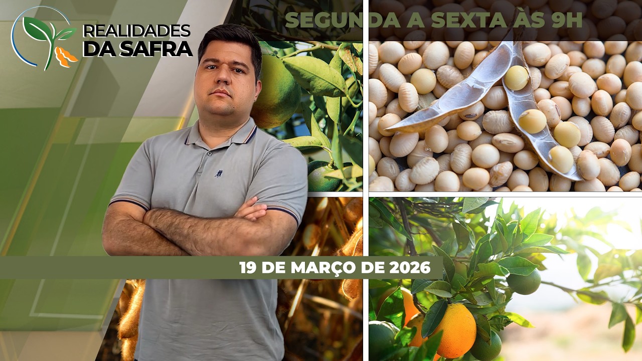 Colheita da soja segue atrasada no Mato Grosso do Sul, enquanto Rio Grande do Sul inicia colheita...