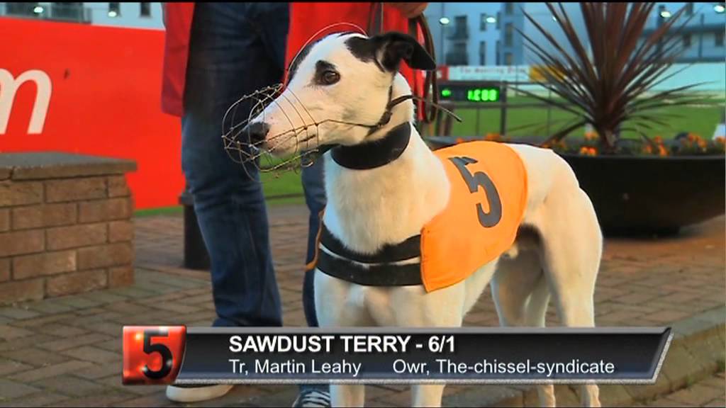 Ladbrokes Irish Greyhound Derby, раунд 1, заезды с 1 по 6