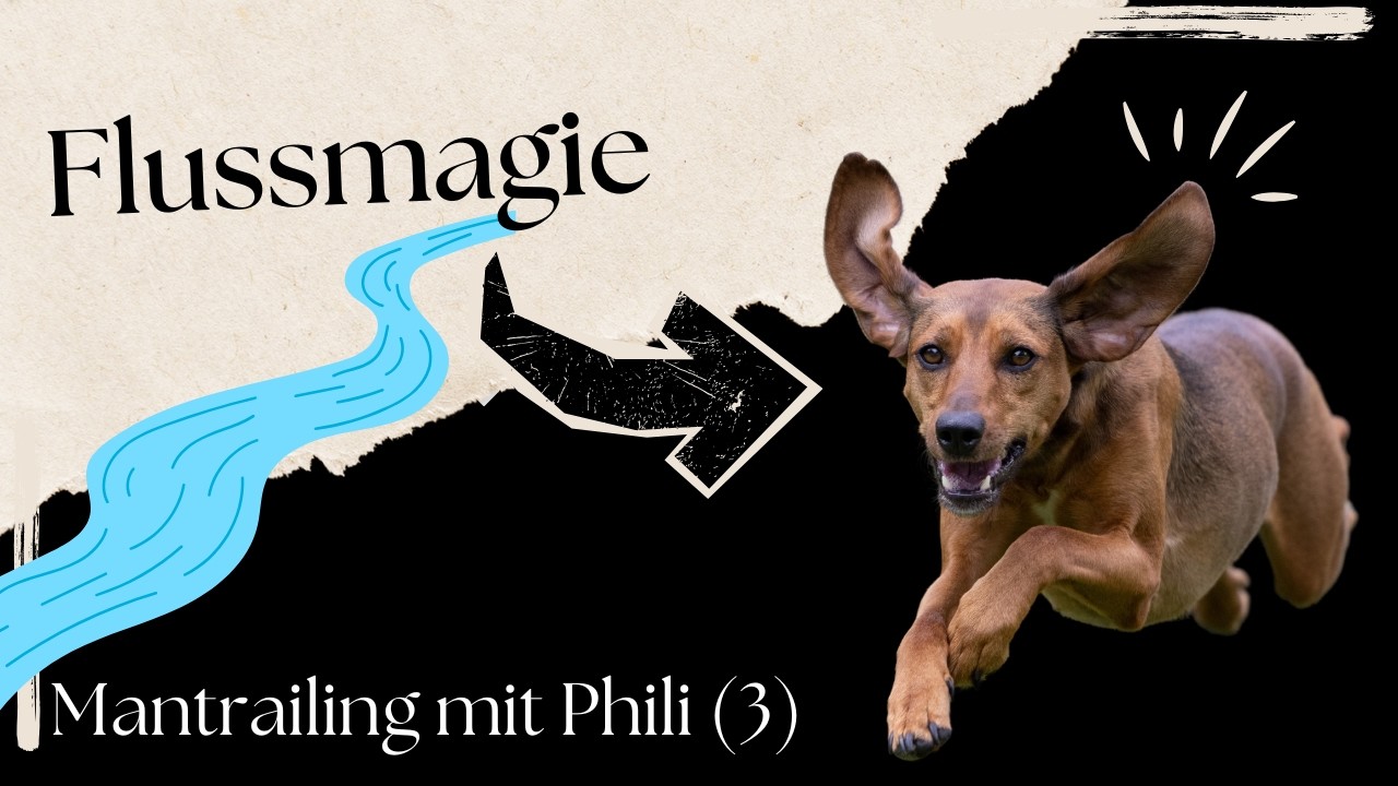 Mantrailing - Flussmagie (3/3) #segugiomaremmano #mantrailing #rettungshundestaffel