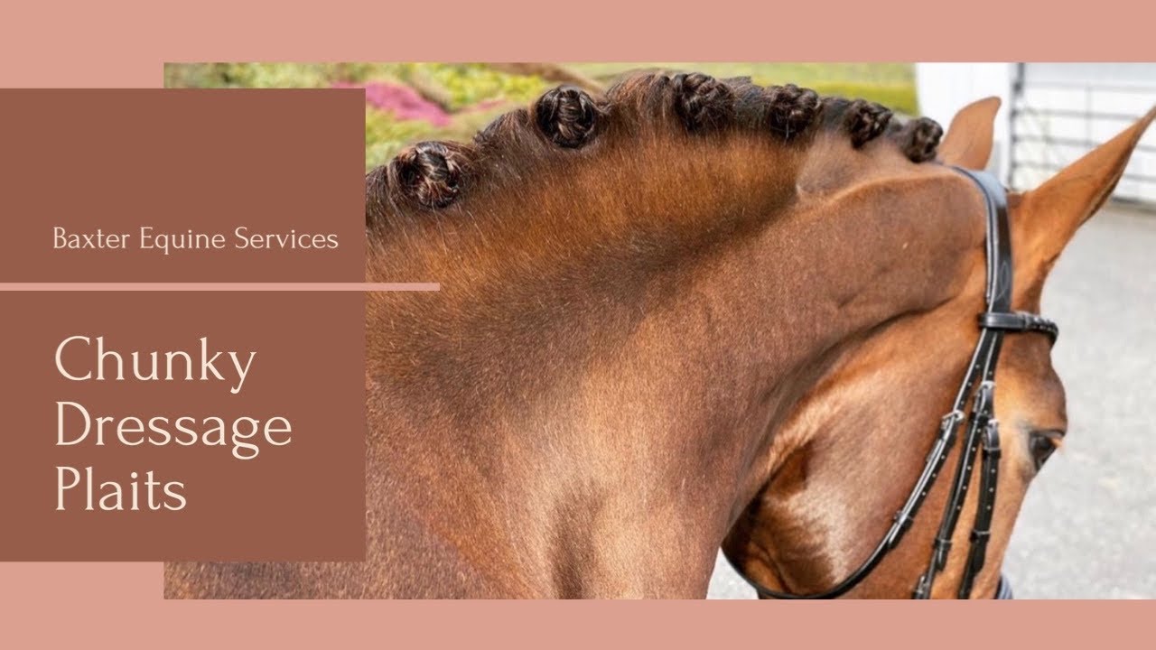CHUNKY DRESSAGE PLAITS | perfect for longer, thicker manes