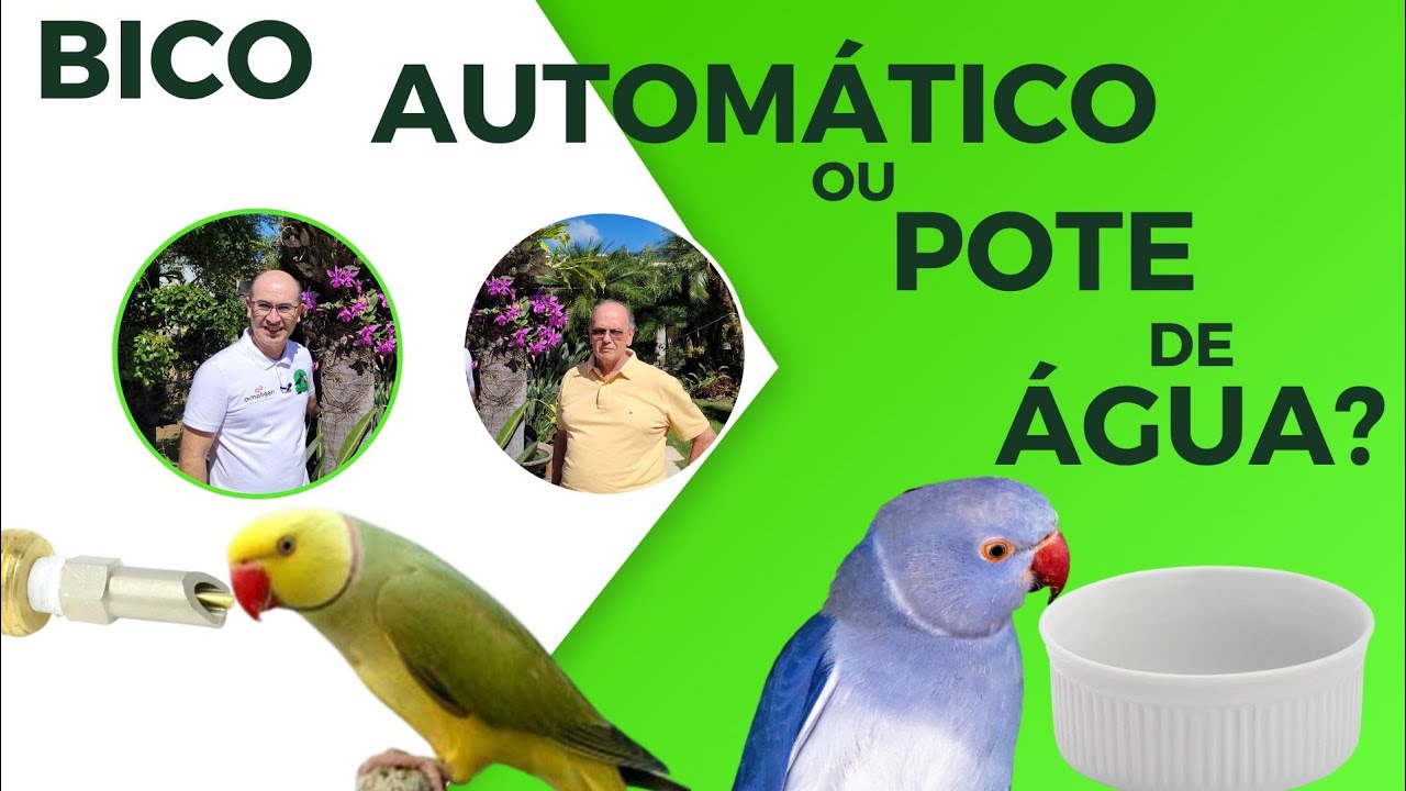 A VERDADE SOBRE BICO AUTOMÁTICO PARA RING NECK!!!Cortes da Live.