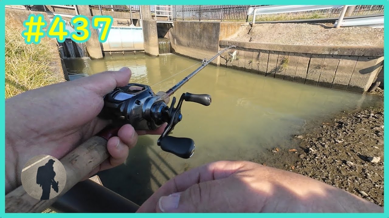 第二大場川→大場川→東大場川【バス釣り】