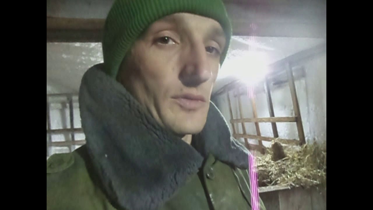 Больной бычок: что с ним было. Остановка желудка и последствия.