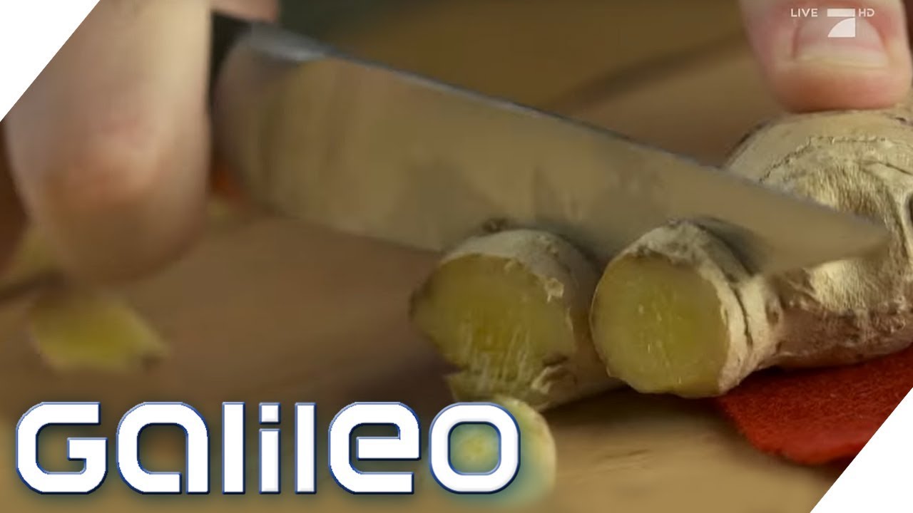 Der Alleskönner: Superheld Ingwer | Galileo | ProSieben