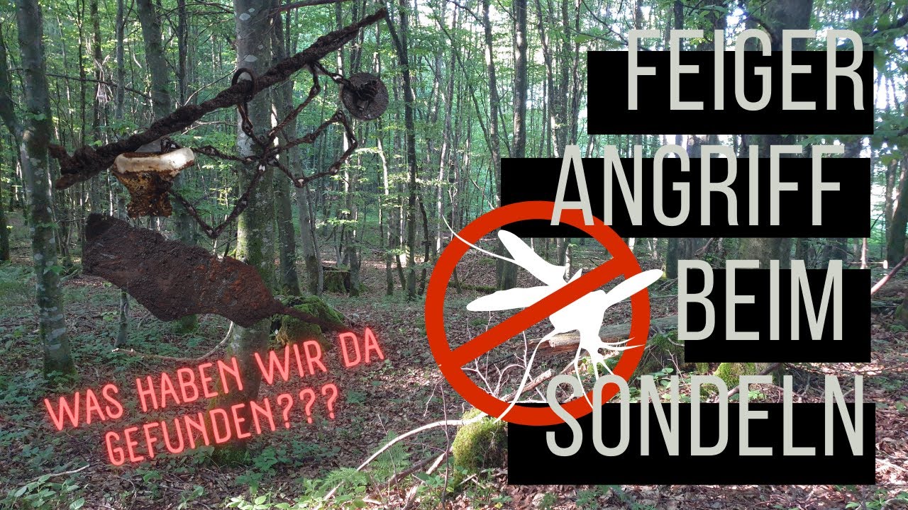 Sondeln im Wald - Was wir im Müllloch finden
