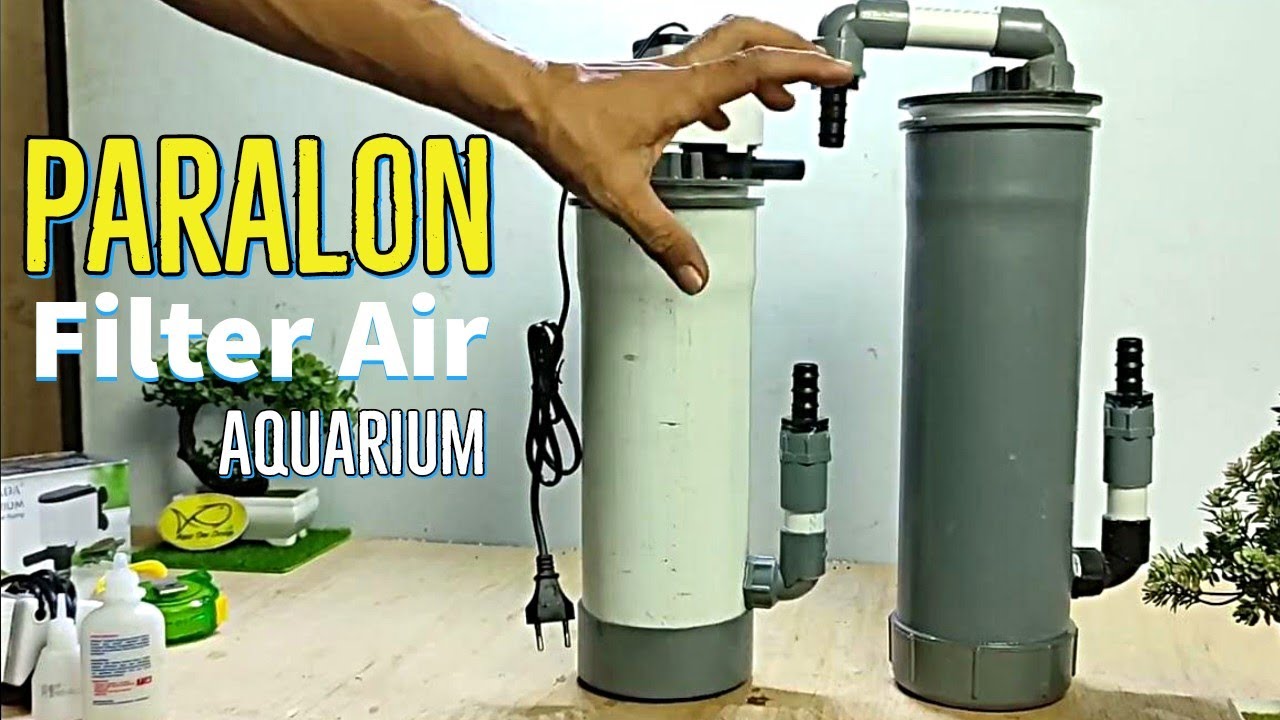 membuat filter aquarium dari pipa paralon