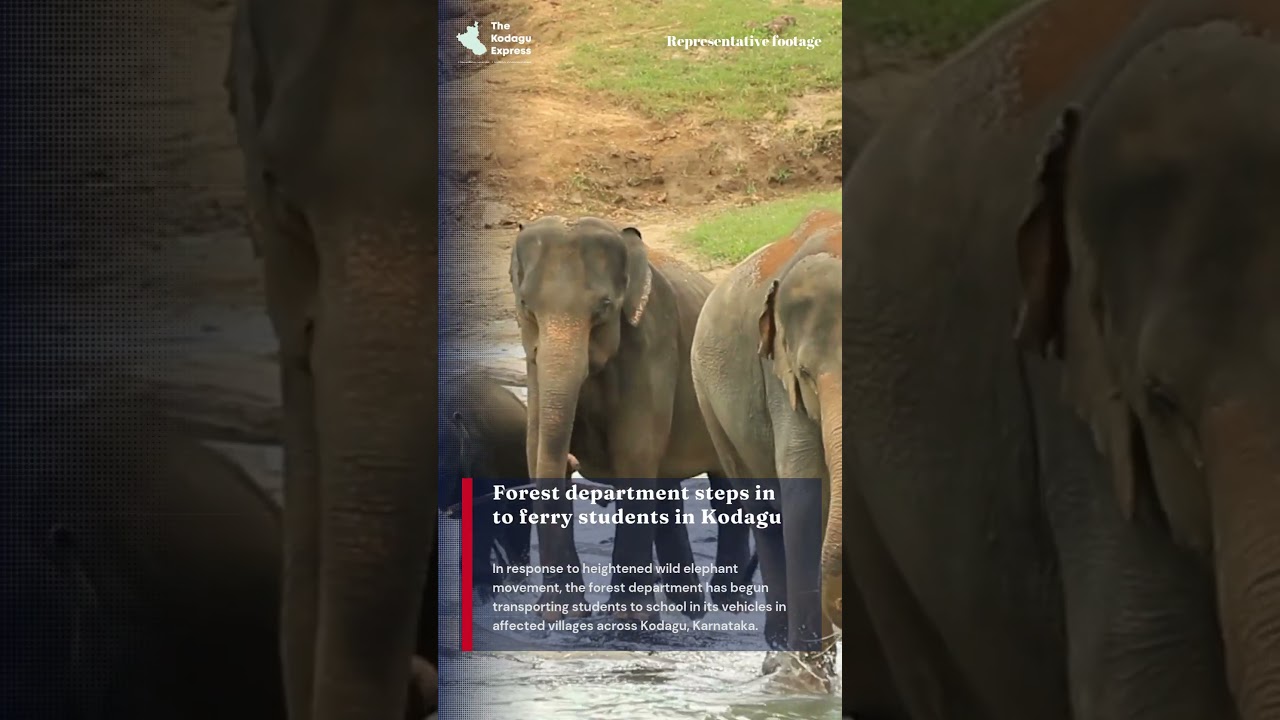Wild elephant threat in Kodagu: Forest department ferries students | Power boost plans by KJ George