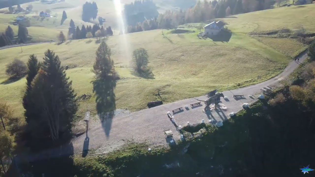 Grifone Vaia e Campeggio Alice (Castel Tesino Loc. Celado)