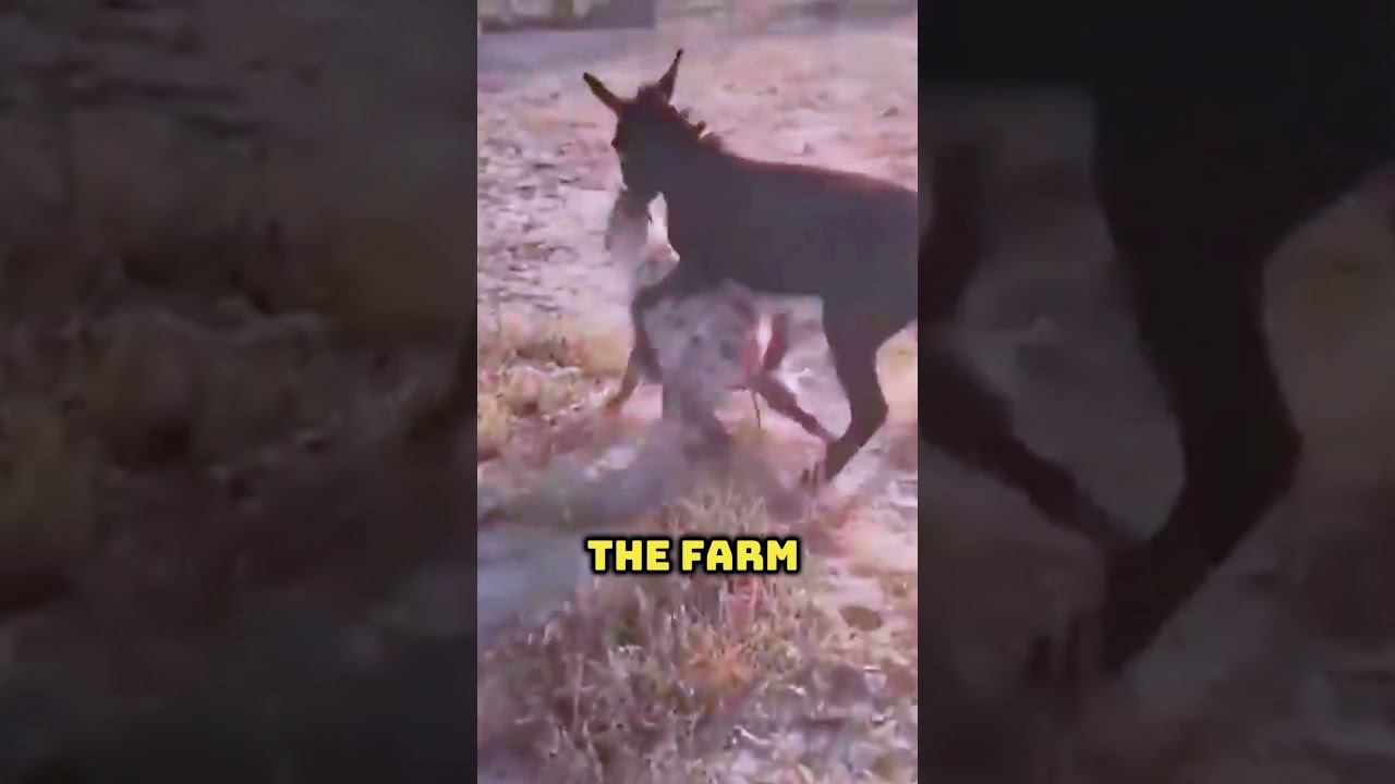 Why Donkeys Guard Farms Now