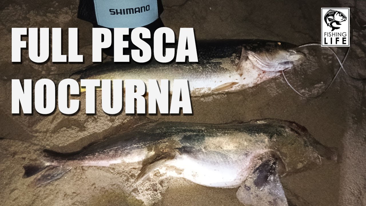 Pesca nocturna con señuelo shimano playa el tabo quinta región carrete twinpower 4000 pg