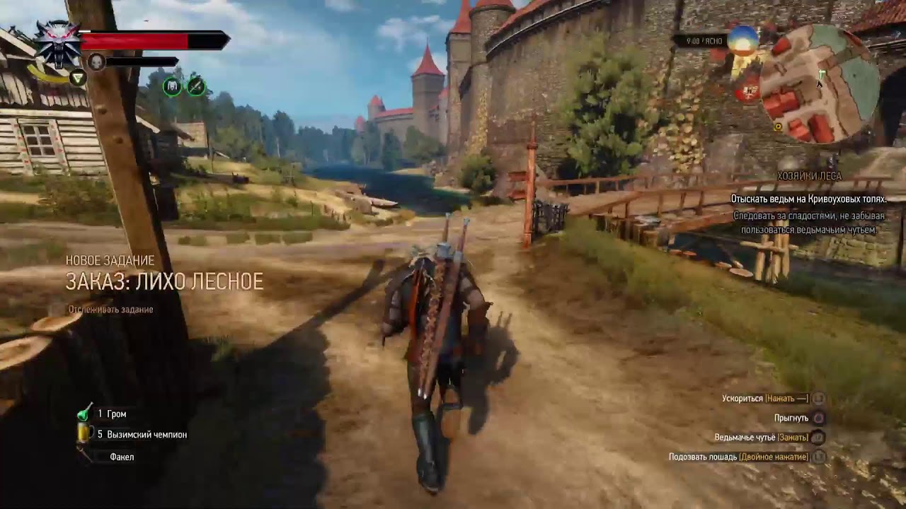 Witcher 3 (ведьмак 3)