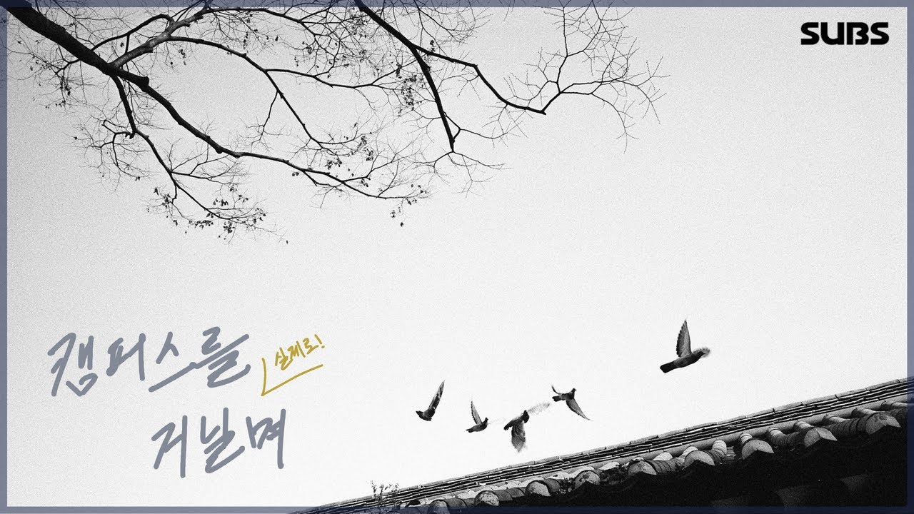 오늘도, 그리고 내일도, 우리는 캠퍼스를 거닌다. [캠퍼스를 실제로 거닐며]