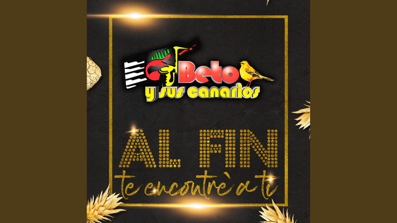Al Fin Te Encontr&eacute; a Ti
