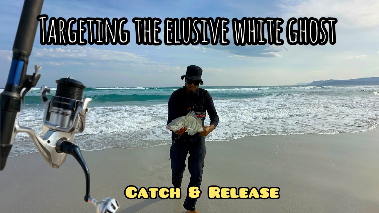 Finally!!! A “Sizer” STEENBRAS [Fishing For The Elusive WHITE GHOST]
