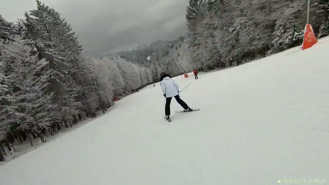 Kasberg im Almtal 15 02 2025