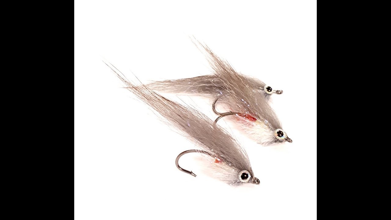 Grey baitfish