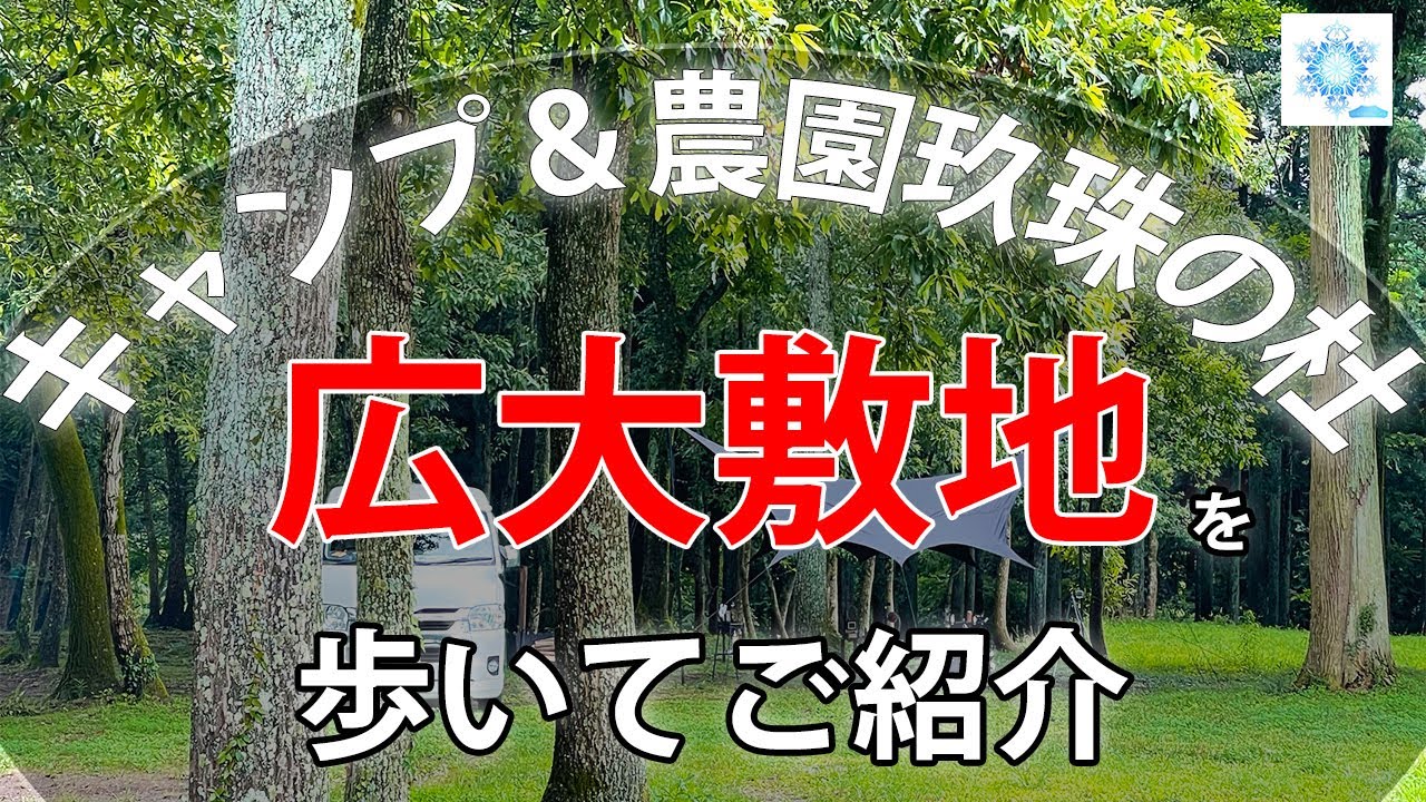 【キャンプ場紹介】キャンプ＆農園玖珠の杜を歩いてご紹介/広大な敷地の芝生と木漏れ日エリア