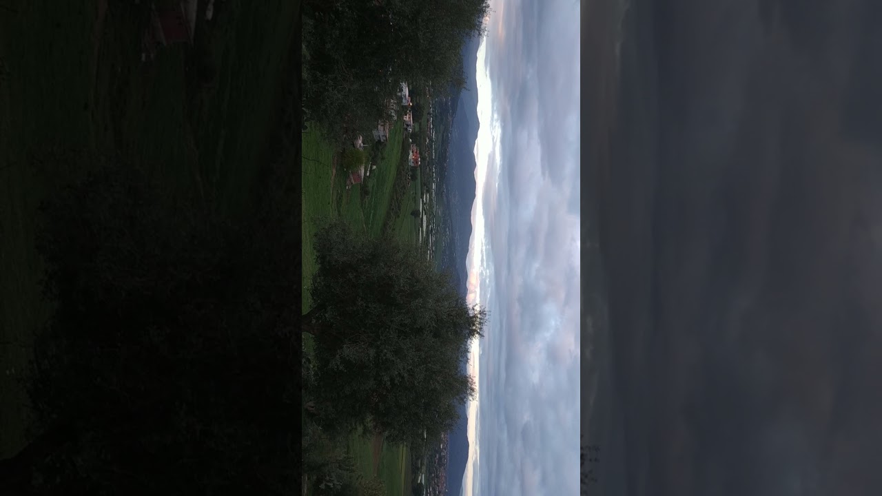 chekfa