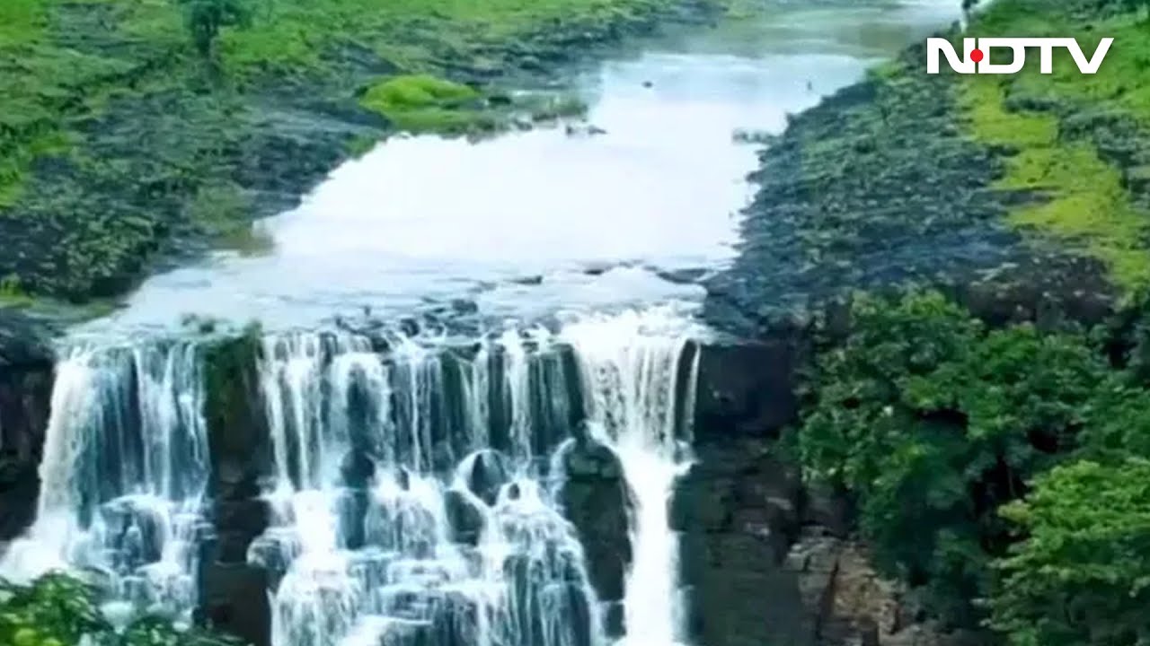 Telangana Leaves No Stone Unturned In Mitigating Climate Change