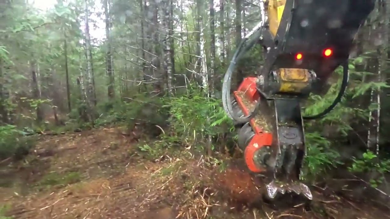 Excavator mulching forest trails (Part 4)