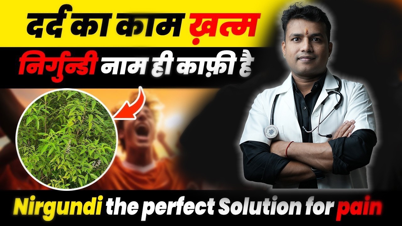 वात | दर्द का काम ख़त्म-निर्गुन्डी नाम ही काफ़ी है | Nirgundi the perfect Solution for pain Ep.593