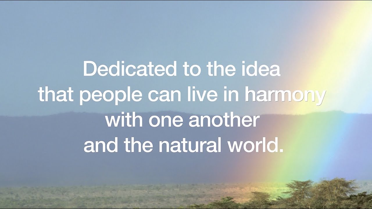Arcus Foundation 2013 Annual Report: Social Justice and Conservation Partners Reflect on Work