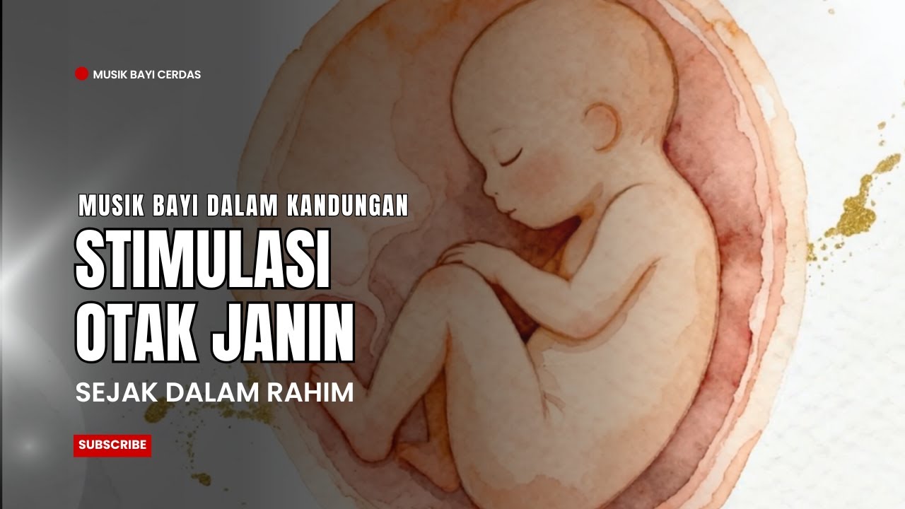 Musik Bayi Cerdas untuk Bayi dalam Kandungan | Stimulasi Otak Janin Sejak Dalam Rahim 