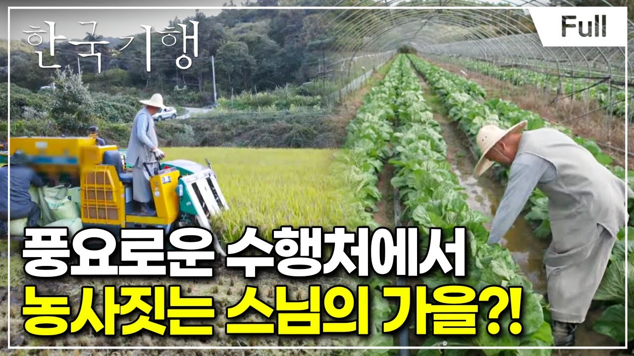 [Full] 한국기행 - 스님, 계십니까 1부 고봉 스님의 고봉밥