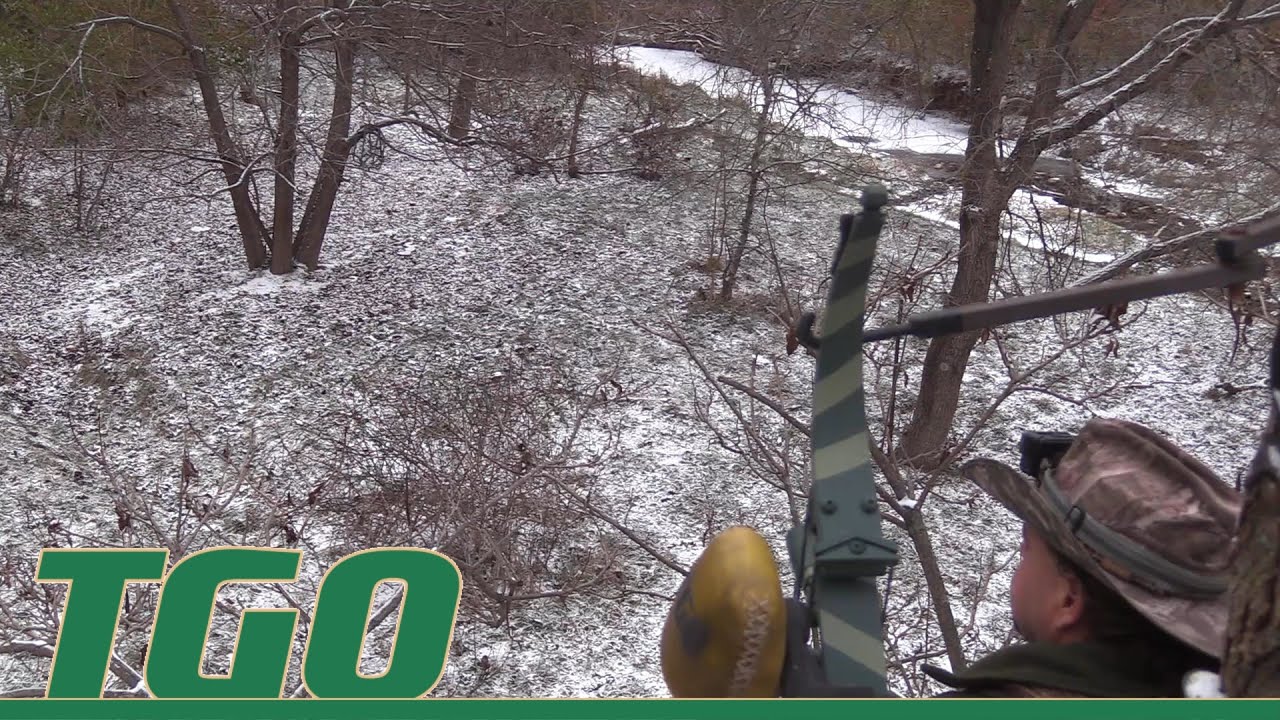 Illinois Archery Season 2024 - Tex Grebner Outdoors