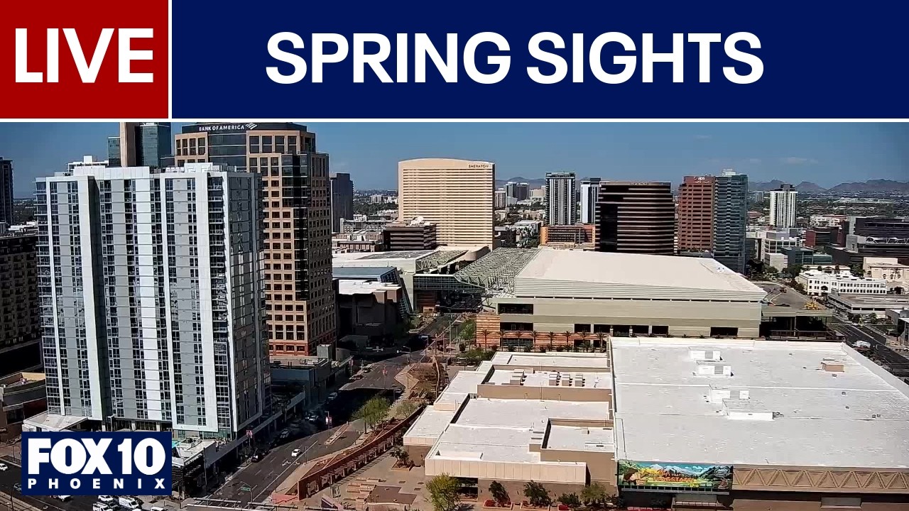 🔴LIVE WEBCAMS around the world | March 10 | FOX 10 Phoenix