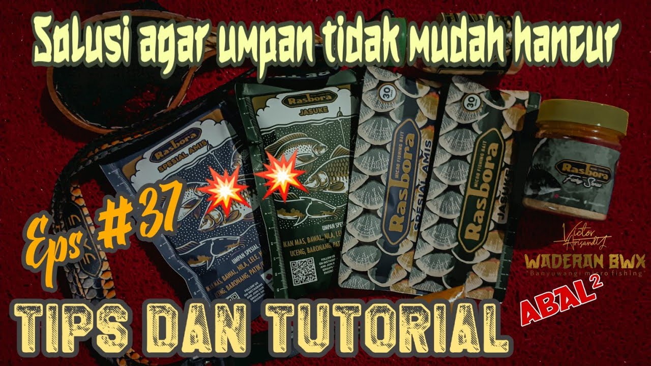 TIPS RACIK UMPAN RASBORA AGAR TIDAK MUDAH HANCUR 💥❗ #37
