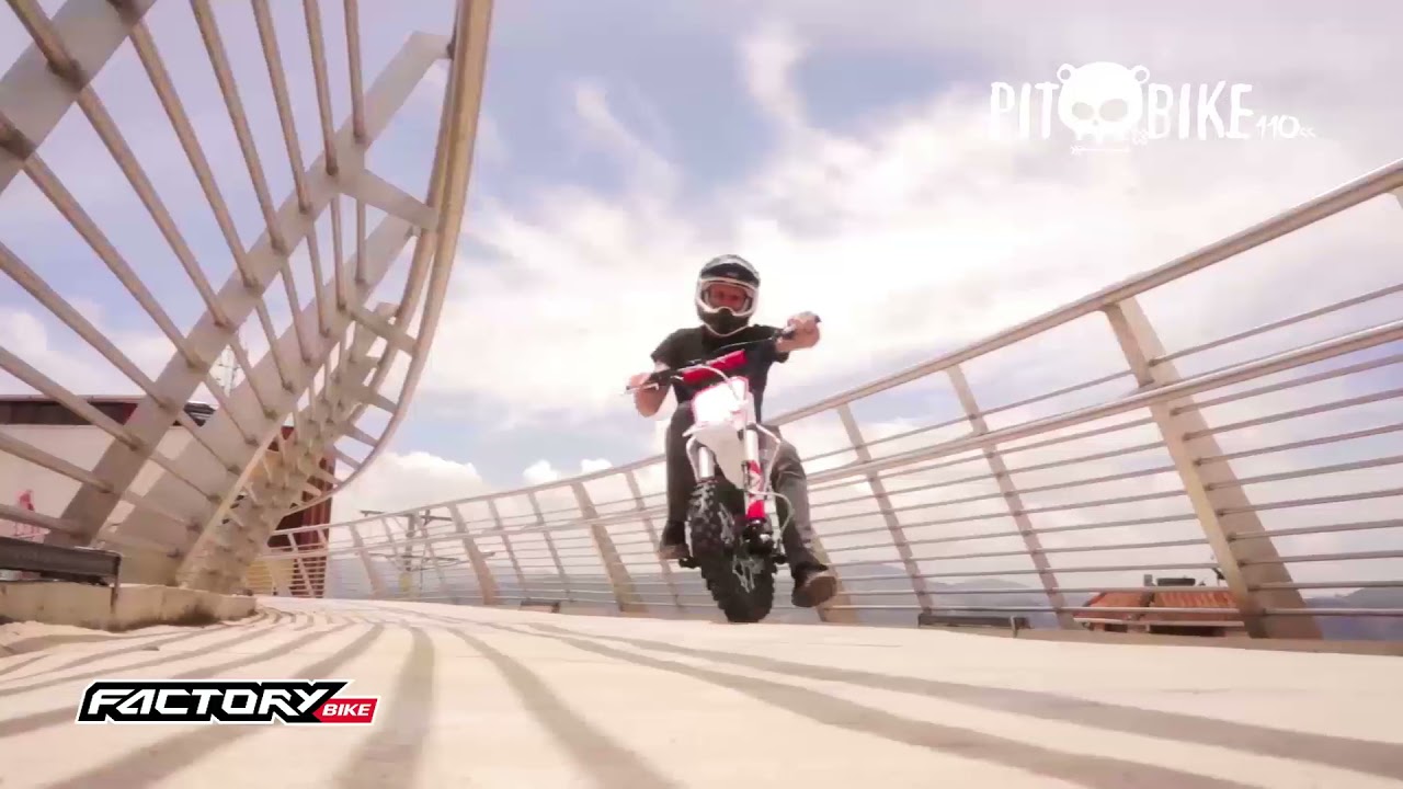 Factory Bike FX110R Pit Bike