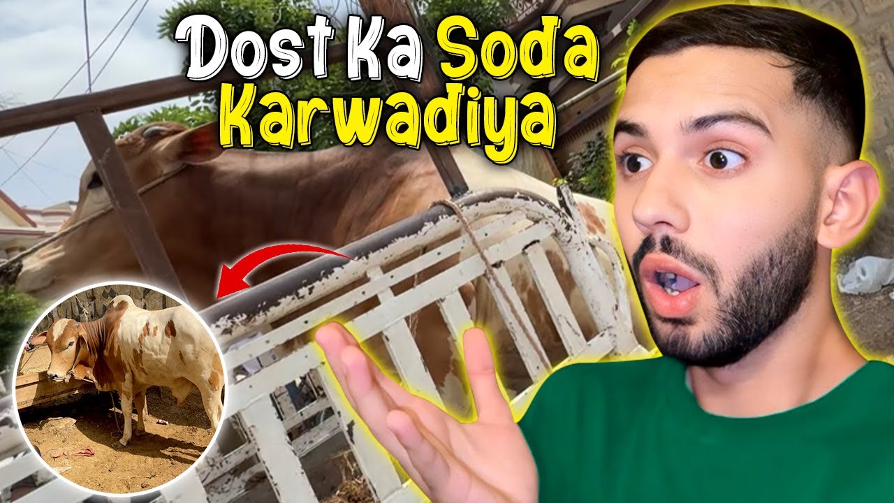 Cow girgayi unloading ke time😳 khoon nikal aaya