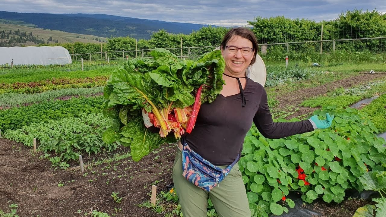 Harvest Day is Longest Day | Pick It, Pack It, Put It Out For Sale
