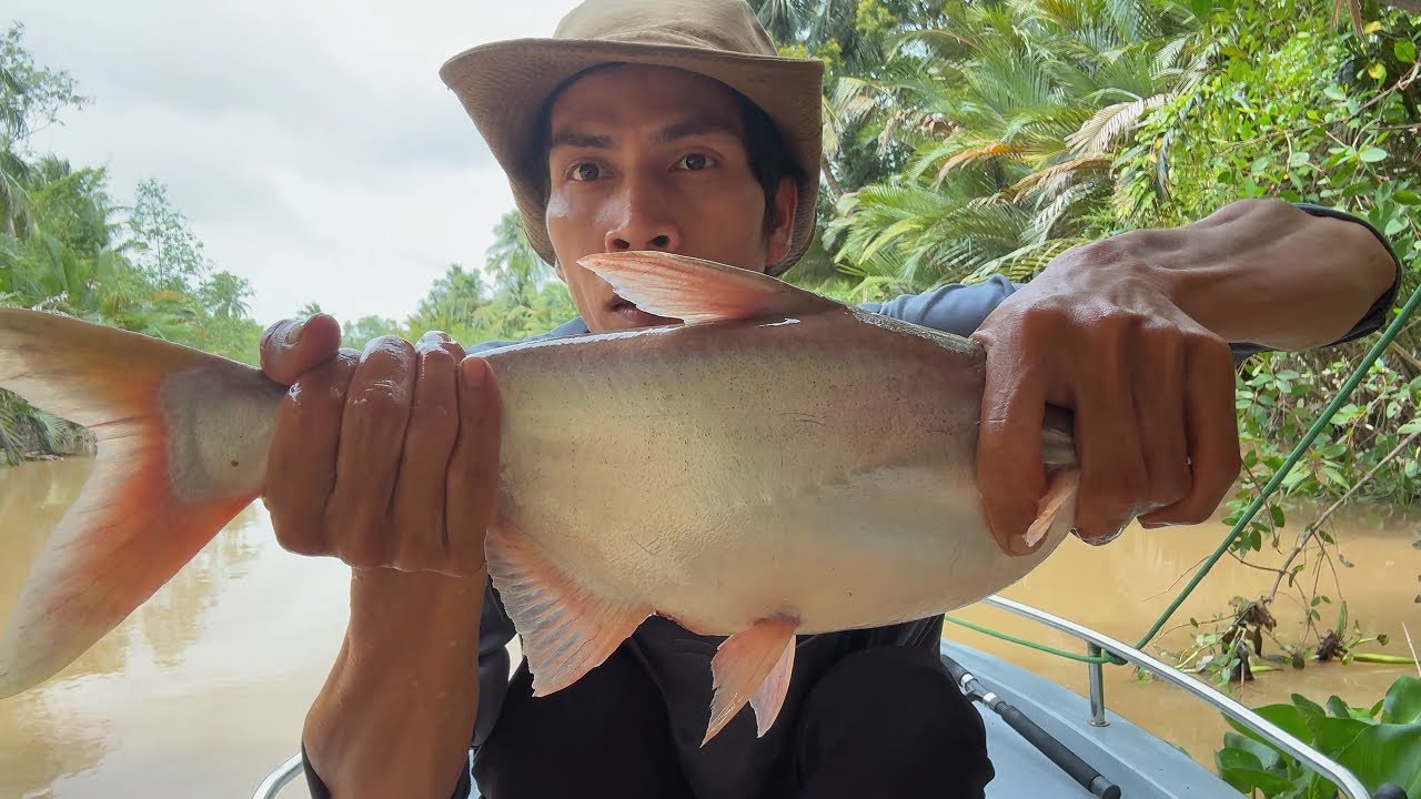 The first day of fishing on a small boat encountered heavy rain and caught a big catfish.