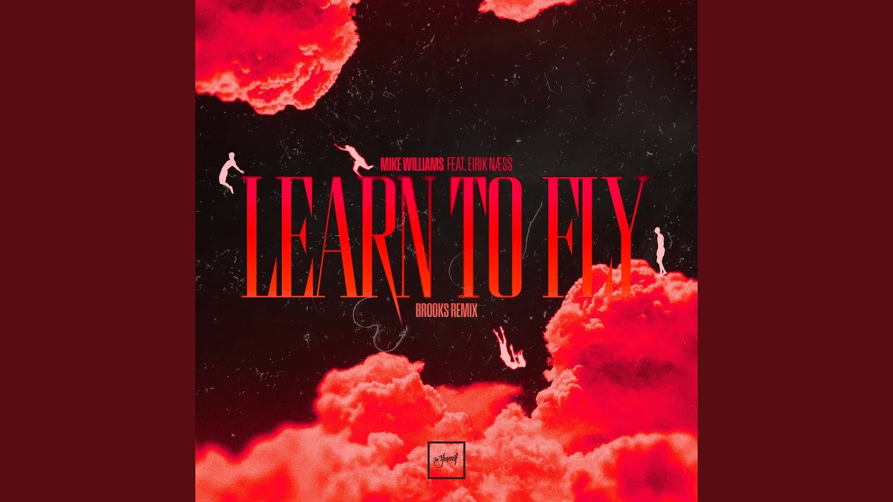 Learn To Fly (Tim Hox Remix)