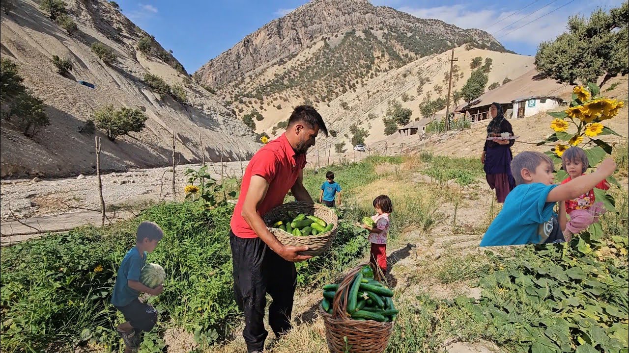🌞🍉👨&zwj;👩&zwj;👧&zwj;👦A beautiful day with the Babak family, picking watermelons from our farm on a warm day
