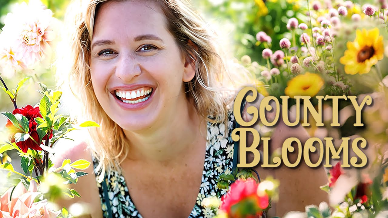 🌸 County Blooms | День с георгинами | 1 сезон, 1 серия | Мы создаём истории любви 🌸 #садоводство ...