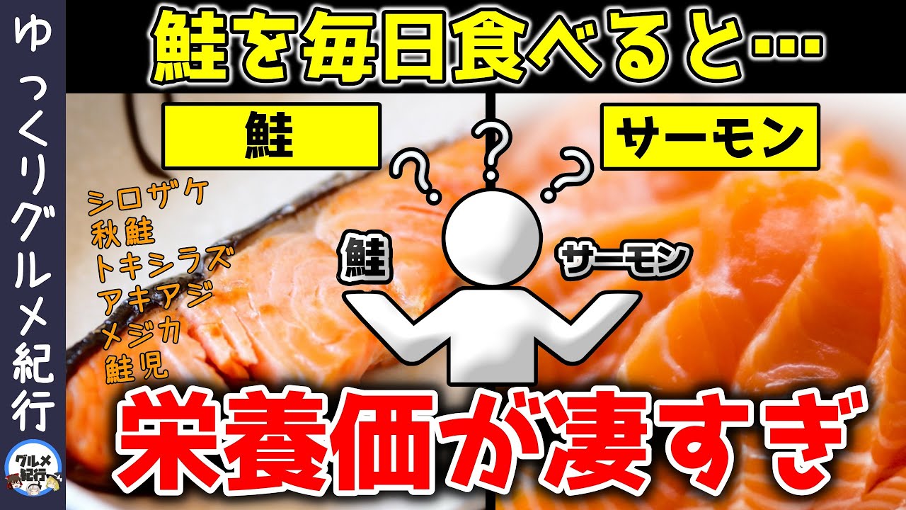 【ゆっくり解説】鮭を毎日食べると…栄養価が凄すぎるとんでもない効果！水銀や安全性は？