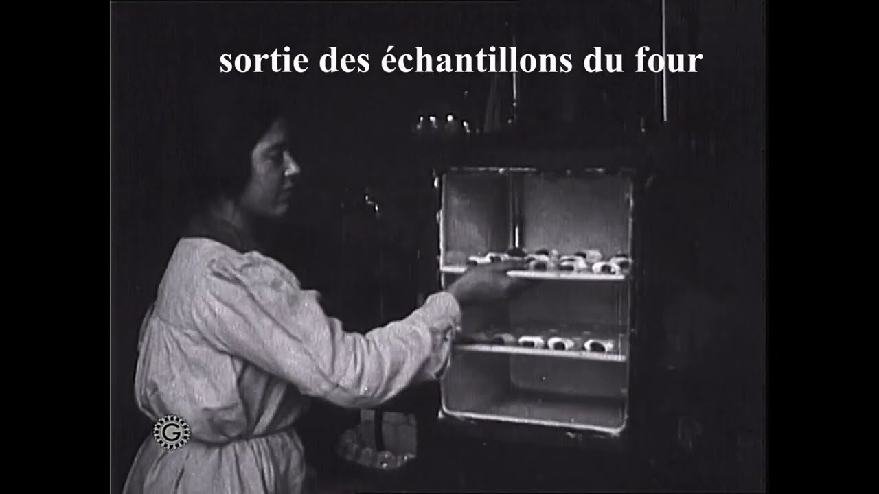 Production de semences de betteraves et création de variétés de blé, Vilmorin il y a 100 ans