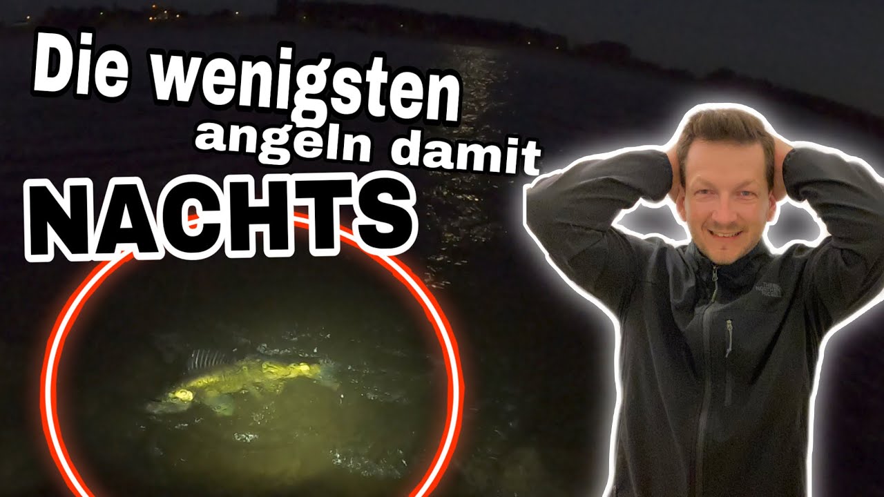 Nachtangeln auf Zander mit Crankbaits
