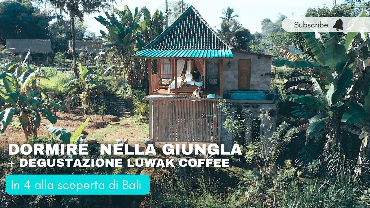 Dormire nella Giungla + Luwak Coffee | Viaggio a Bali con bambini