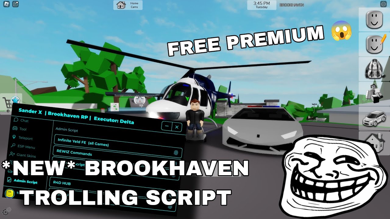 *NEW* Brookhaven Trolling Unlock All Gamepass Script Hack | SanderX Fluxus,Hydrogen,Delta, Arceus X
