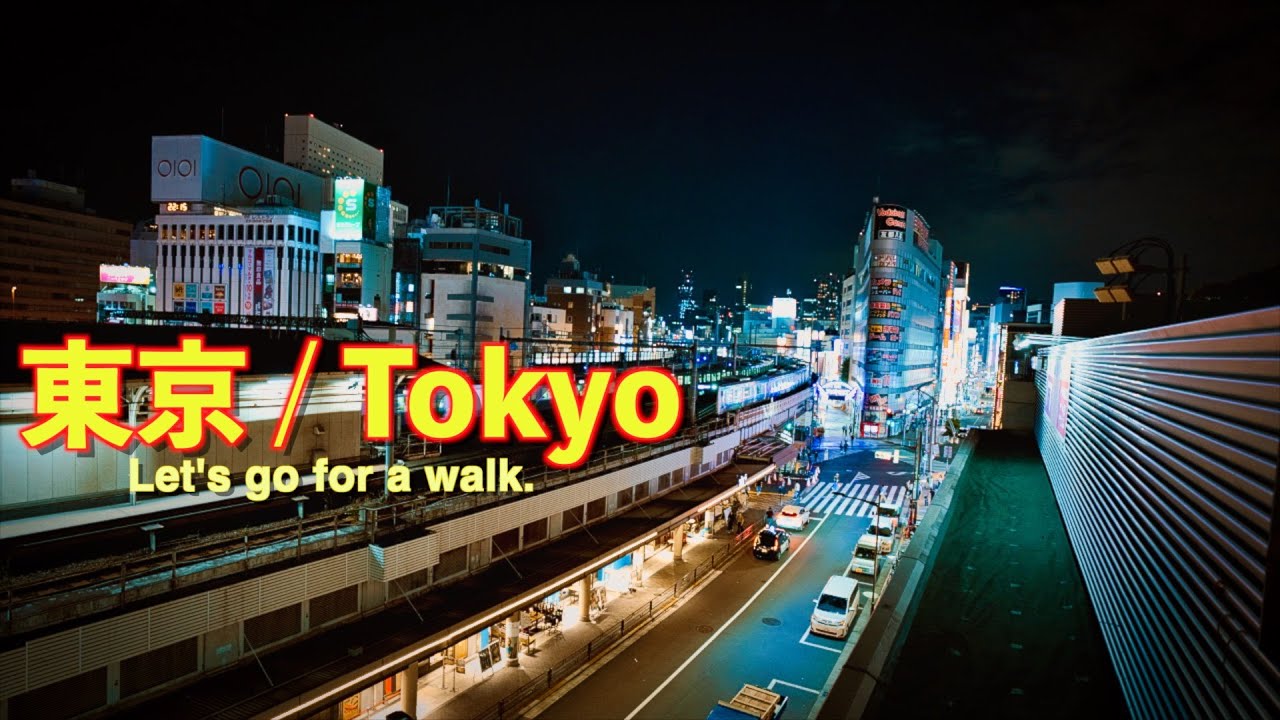 【東京散歩】情緒あふれる東京を巡りました。のんべい横丁｜和可奈寿し｜ ぼうず'n bar ｜サモエドカフェ｜豪徳寺｜ 谷中銀座商店街｜根津神社｜ 鬼子母神堂