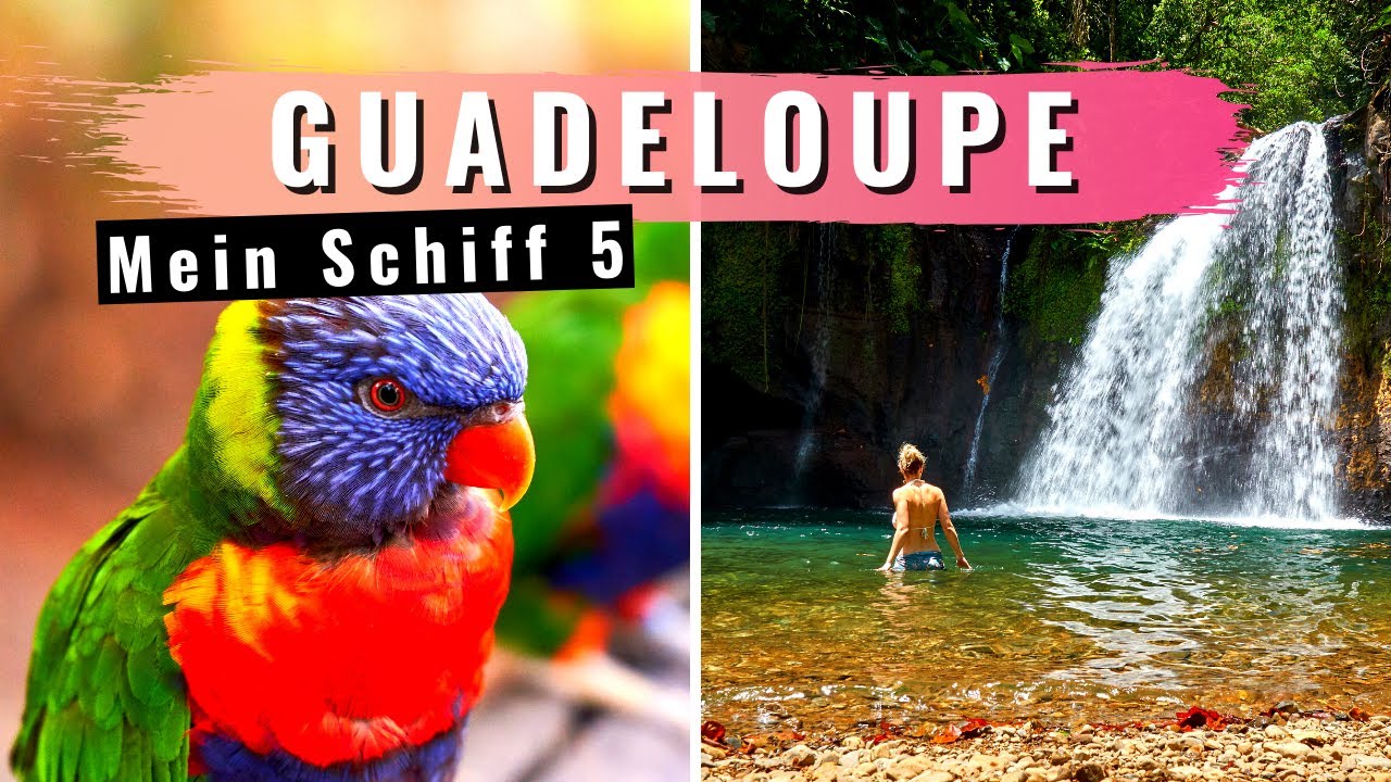 GUADELOUPE Urwald Wanderung und Botanischer Garten - MEIN SCHIFF [2019]