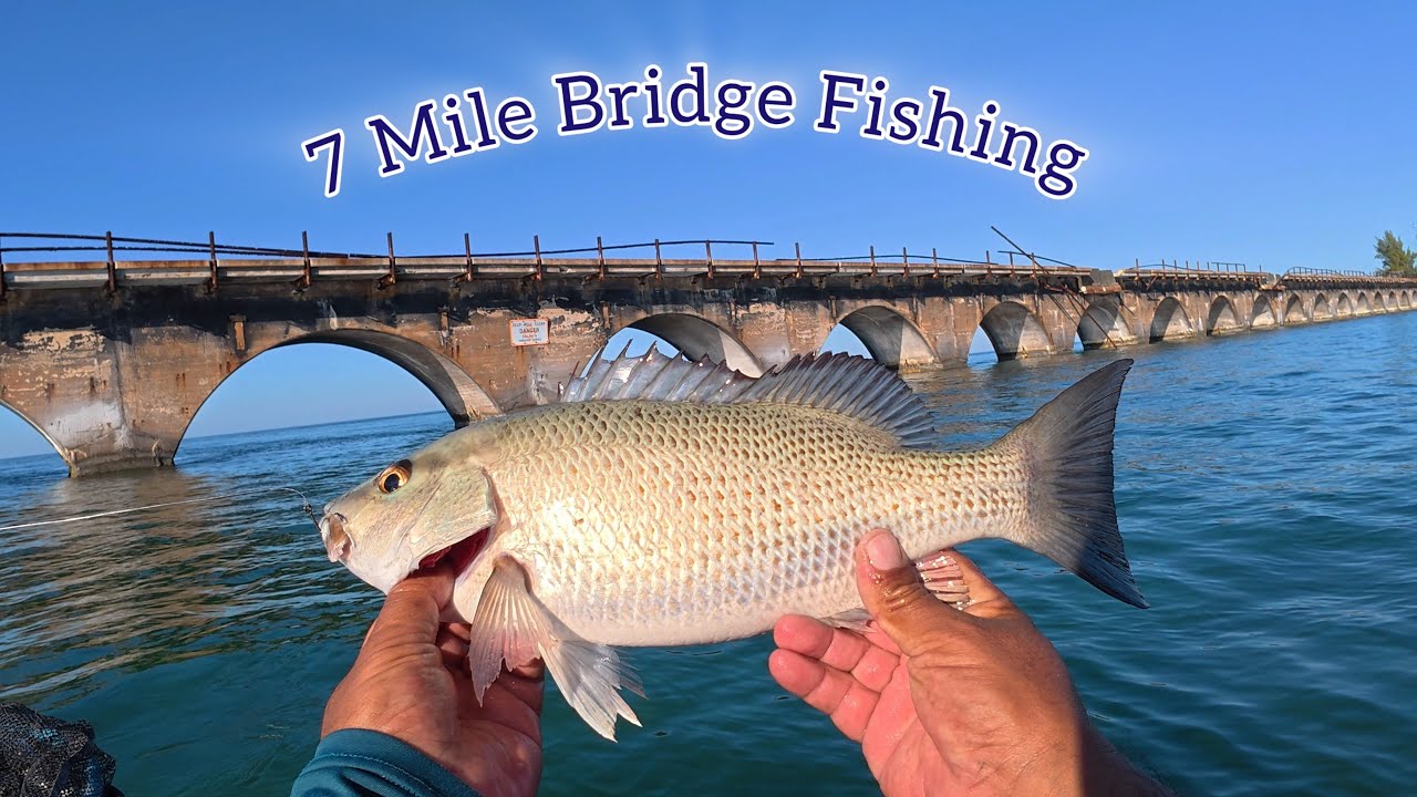 Last fishing day  of 2025 at 7 mile bridge- Episode 2